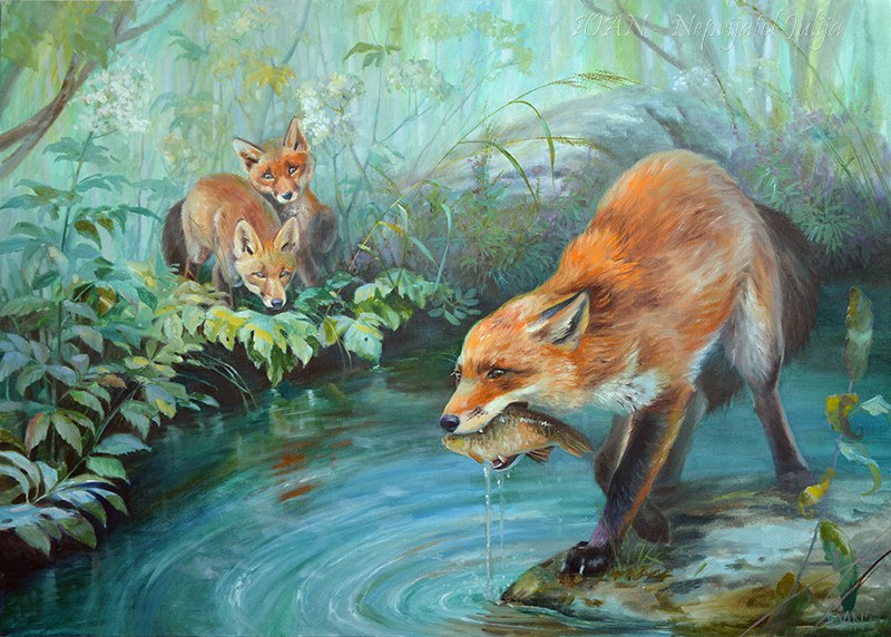 РЫБАЛКА х.,м.,2017г